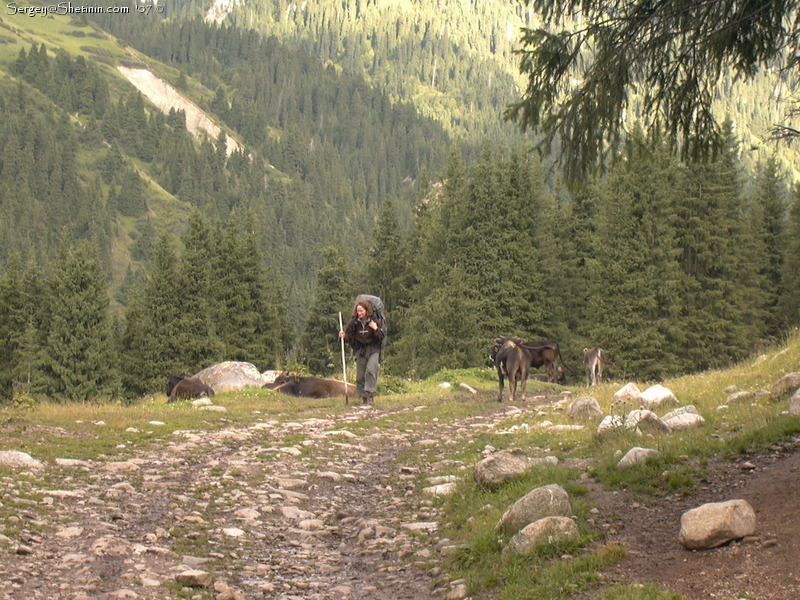 Christine and caws in Karakol valley.