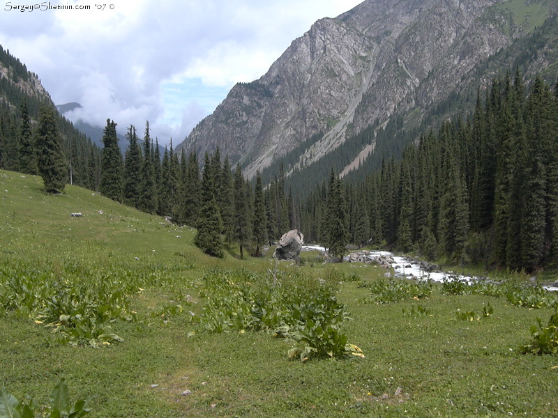 Karakol valley in the area of Telety.