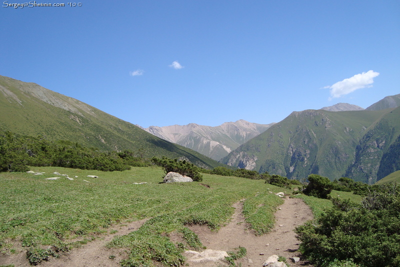 Trail to Altyn-Arashan is through juniper