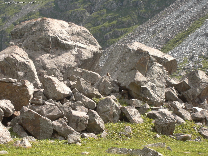 Marmot among the stones of Karakol valley.