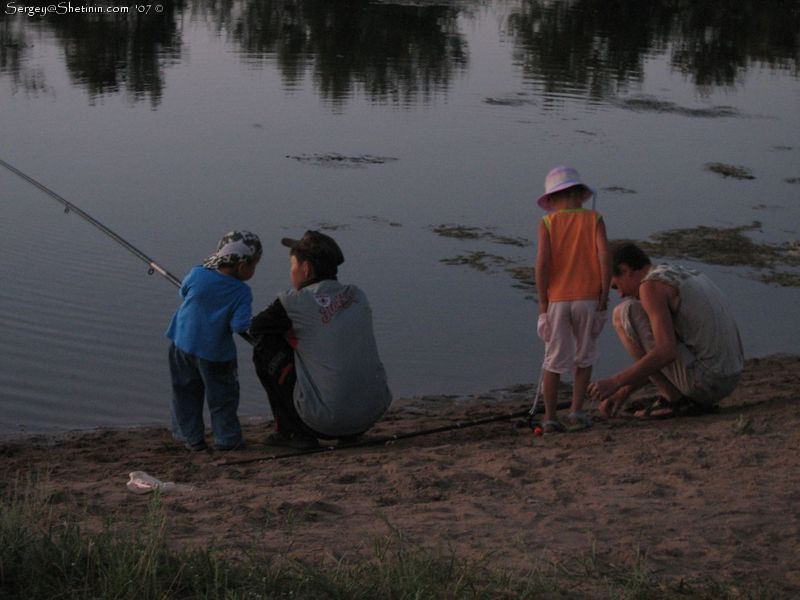 Pond of dachas