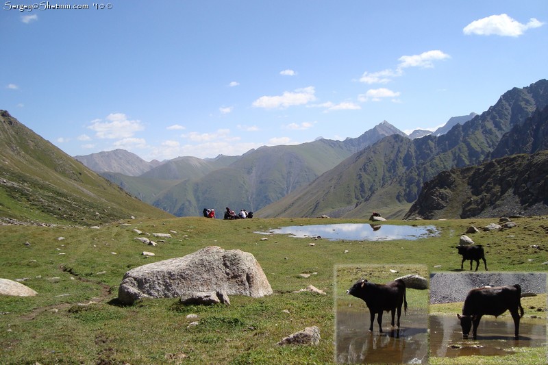 Short stop near small yellow lake.