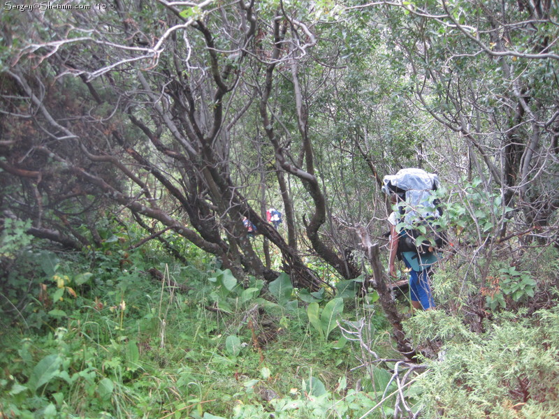 The trail to "Sirota" in the trees