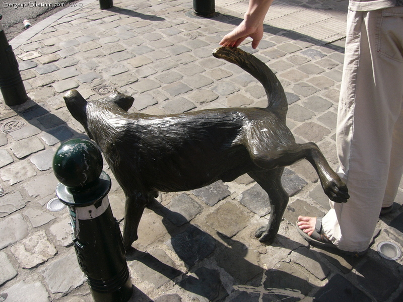 Brussels. Pissing dog.