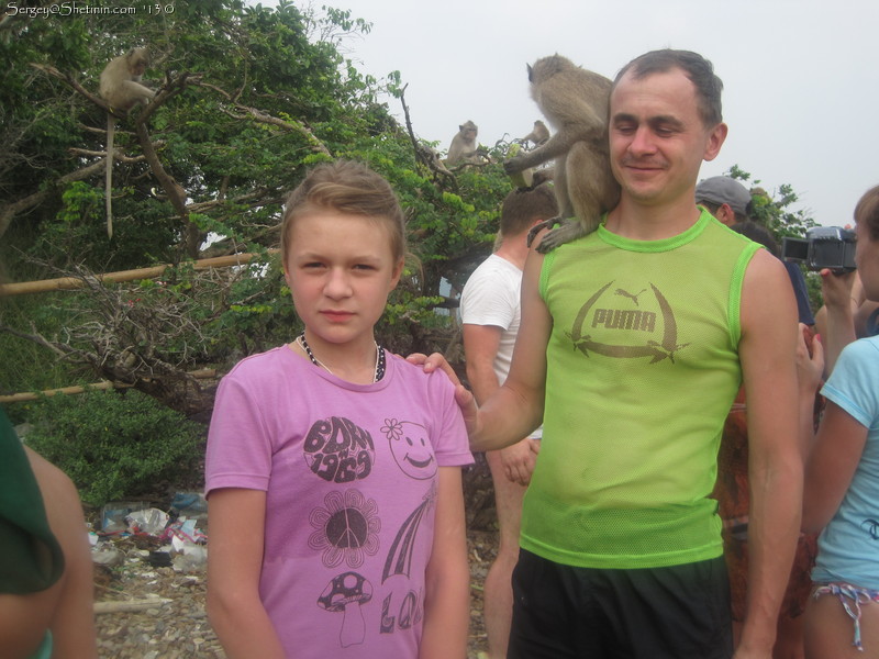 Feeding monkeys on the island