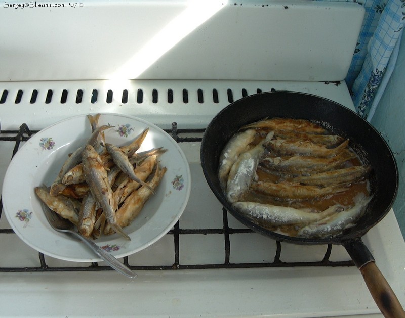 Fried Issyk-Kul dace (chebachok, L.bergi)