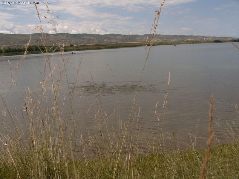 Grass carp. Fishing at Kokuikul Lake. Kyrgyztsan.