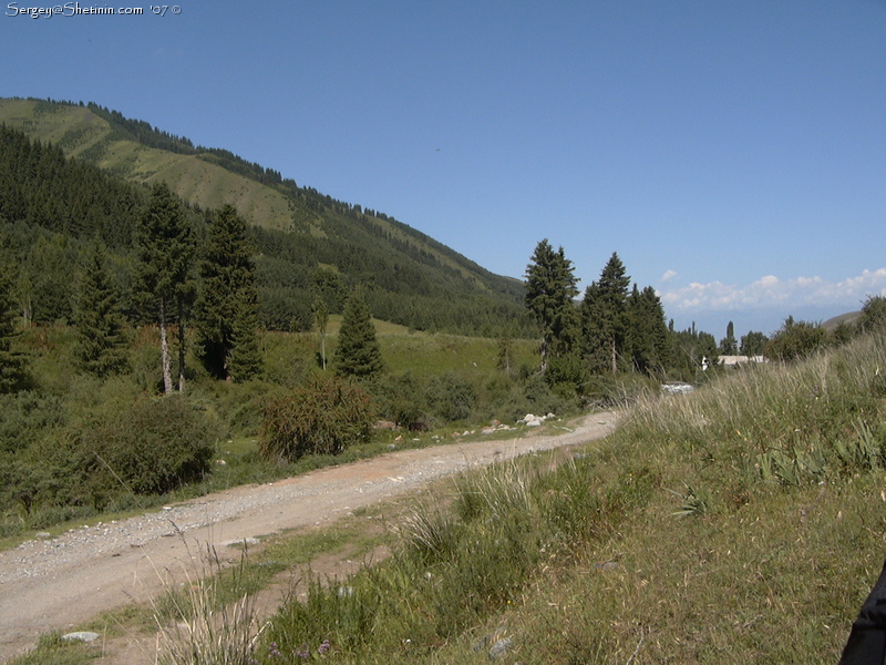 Karakol valley exit. Forestry.