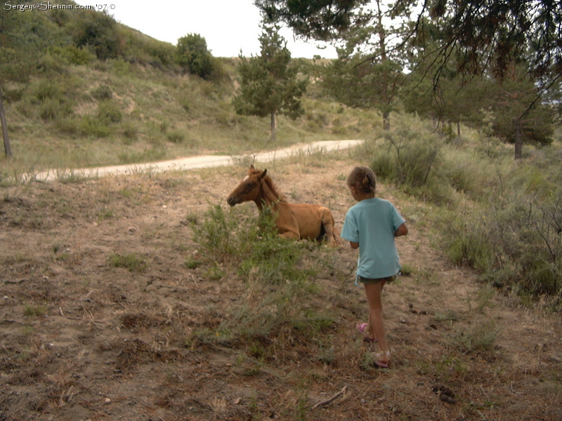 Lyuba. Hello foal.