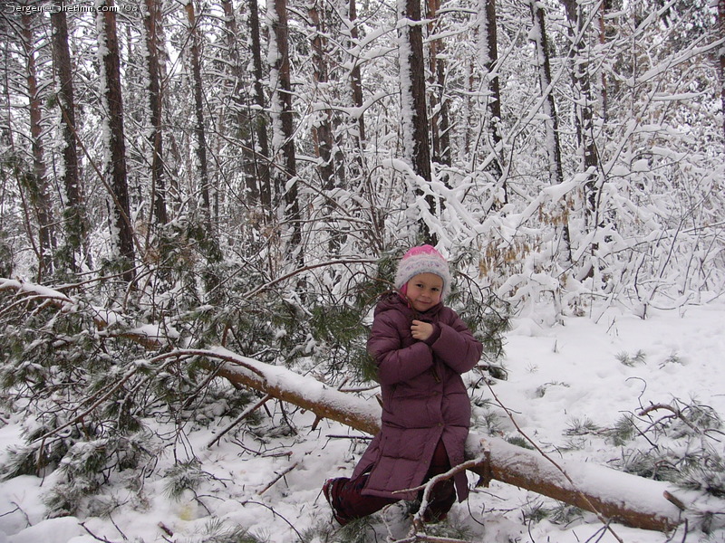 Lyuba and broken tree.