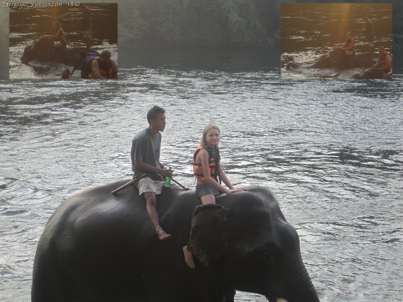 Lyuba washing elephant in river Kwai