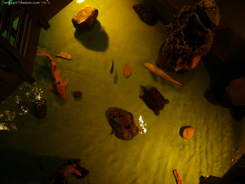 Paris. Aquarium inside of restaurant at Champs-&#201;lys&#233;es.