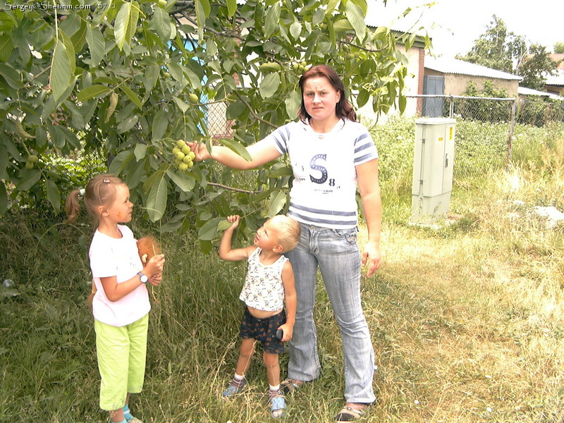 Walnuts in Karakol