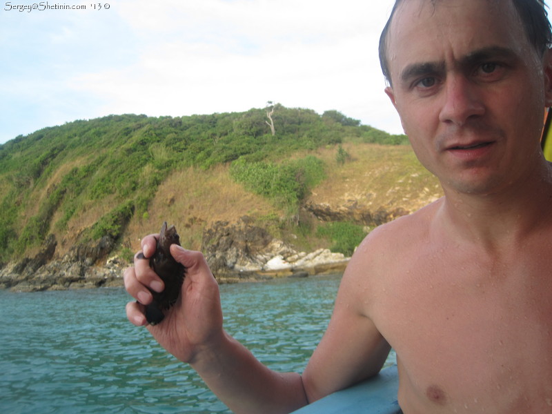 Other kind of fish. Smaller and dark colour. Koh Samet fishing