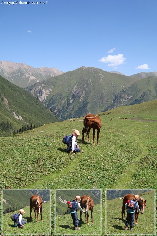 Lyuba and horse meeting