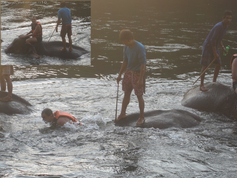 Я на слоне в реке Квай. Тайланд