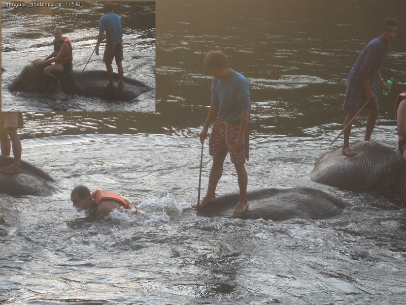 I am washing elephant in Kwai river. Thailand