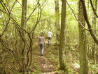 This forest is the beginning of the famous Arden forests of Belgium.