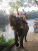 На следующий день поездки на Квай, нас с утра повезли в слоновью деревню на реке. У нас в программу было включено катание на слонах, а потом и купание с ними. Попался нам самый взрослая и сильная слониха - Манюня, и погонщик был очень смешной. Пел нам песни на русском ("Ой мороз-мороз, не морозь моего слона"), выкрикивал интересные фразы ("Газуй!! Манюня - газуня!!!"), веселил и нас и проезжающих рядом. Также мы прикупили бананов и покормили слона, пока ехали верхом.