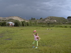 Everytime passing this meadow Lyuba disturbed all animals and poultry pasturing there. And in this time she saw small flock of geese and decided to run to them.