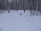 Lyuba decided to start first to show us how we should do skiing down from the hill.