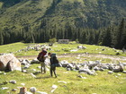 After breakfast we started our last way to Karakol town down by valley. Christine kept her shepherd's stick I presented her, and that was funny she was going to take it with her further. At the picture you can see the shepherd's house. Last evening we met owners of it and had a good talkings. They were very friendly and gave us tasteful 'airan' (special sour milk, like kefir) and fresh bread.