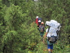 The trail goes via jungles of juniper bush.