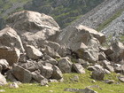 We met marmot on the way back going down by Karakol Valley. These animals are living almost everywhere in Karakol valley and other canyons of Tien-Shan at altitude higher than 2500-3000m above the sea level. Marmots are members of the genus Marmota, in the rodent family Sciuridae (squirrels). We met, I guess,  the Menzbier's Marmot (Marmota menzbieri). Area of this mutmots is in Kazakhstan, Kyrgyzstan, Tajikistan, Turkmenistan, and Uzbekistan. Its natural habitat is temperate grassland. It is threatened by habitat loss.