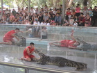 On the next day from Alxazar show we went to crocodile farm in Pattaya. The show was interesting there - the boy 'played' with crocodiles and that was looking dangerous.