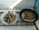Пока рыба была еще свежая, мы ее почистили, засолили и пожарили, обваляв в муке - рецепт жареного чебачка прост.