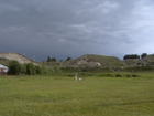 Geese were already experienced and when Lyuba reached them they were already in the swampy area.