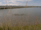 That was amazing to see the huge fish shoals along the lake shores. That was a wonderful fish: Grass Carp, Ctenopharyngodon idella. It didn't like my worms and other flies on my fishing line because this kind of fish like grass and algae. At photo: The shoal of Grass Carps running away from the shore after I went to the hill.