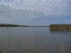 In the morning of 25th of July we arrived to Kokuikol lake (people commonly call it 'Kukuikulka') per suggest of Oleg Farhutdinov before. From apart the lake was looking lovely. But coming to the water we found that deepness of the lake is very shallow near the shores. So we needed a boat. Asat and Ruslan rented the fisher boat from the guard of the lake and went to the middle of the water. I decided to stay at the shore because again I doubted about the success. At photo: my rod, small rushy bay of the lake Kokui-Kul and boat with my friends on the left.