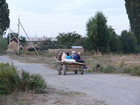 The best transport from ecological point of view is the horse. The local people understand it and every good family in the villages has their own horse.