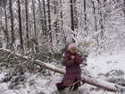 Two days after we had even more snow and many trees in the forest were broken.
At the photo: Lyuba is sitting on the broken tree in the forest.