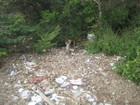 Monkeys were fun - one found cocoa nut, cracked it and was drinking the juice from the hole. But there was very dirty in this place. Tourists left a lot of plastic and other garbage here so the place was looking repulsive.