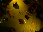 Внутри, по всей площади помещения, пол превращен в аквариум в котором себя свободно чувствуют золотые рыбки и черепахи...