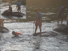 I took part in washing elephants in river Kwai. Elephants can dive a little. The man on the back sent some special signal to this big animal and we went under the weater for a few seconds.